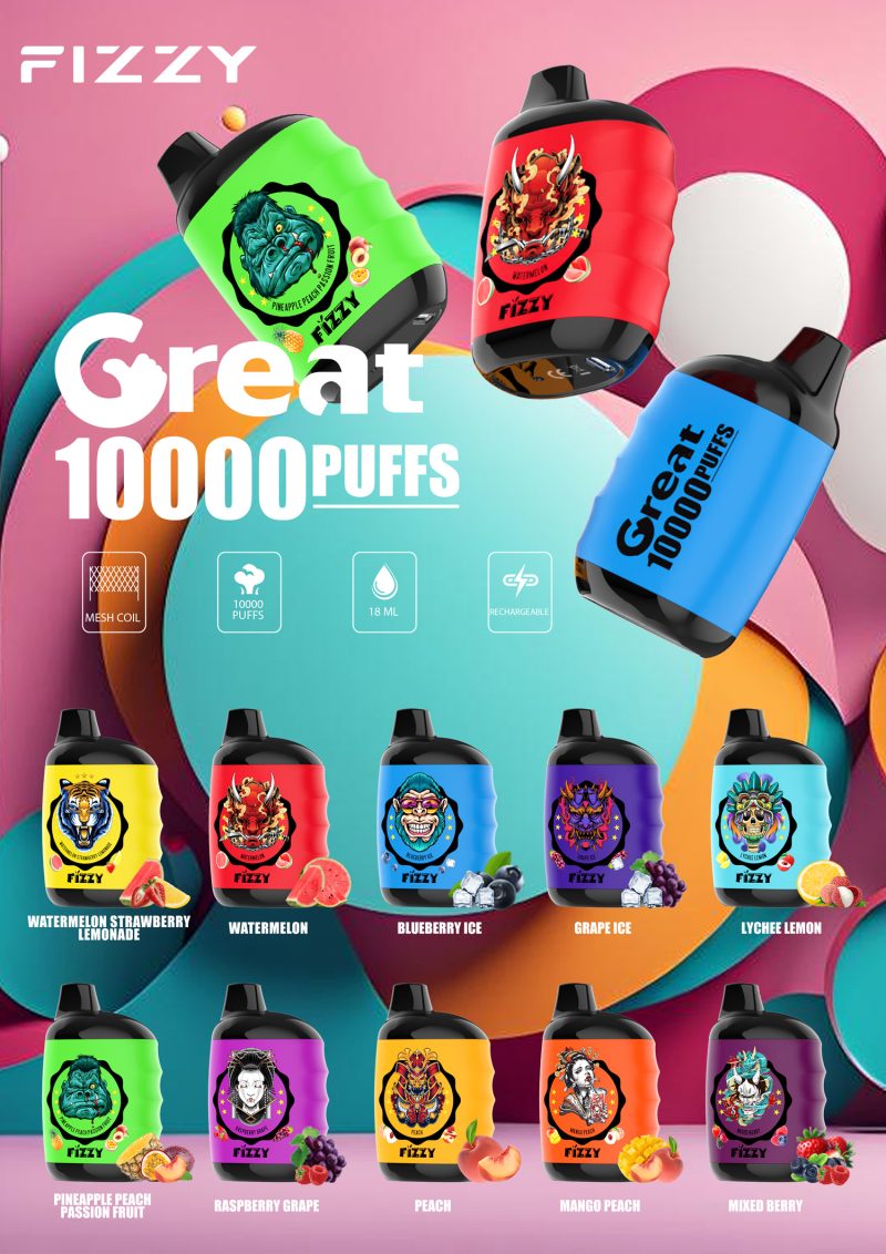 FIZZY Great 10000 Puffs disposable vape with lcd screen