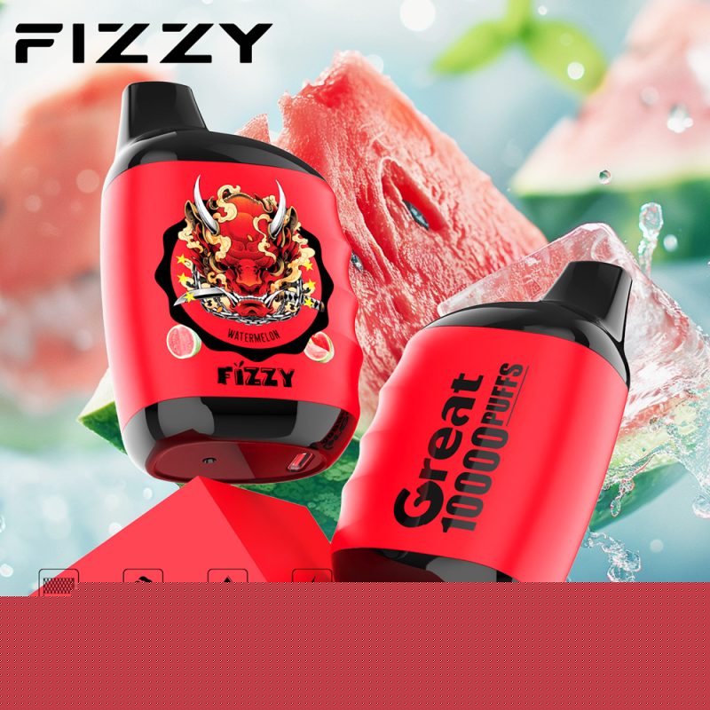 FIZZY Great 10000 Puffs disposable vape with lcd screen