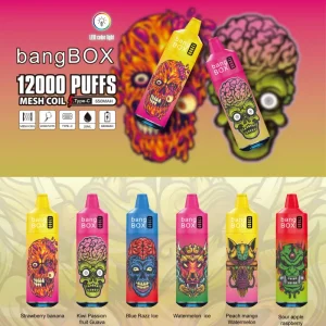 bang box 12000 12k puffs disposable vapes