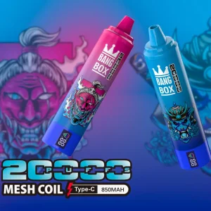 bang box 20000 20k puffs disposable vape with screen