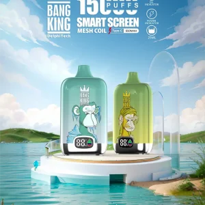 Bang King 15000 puffs smart screen vape with mesh coil, Type-C charging