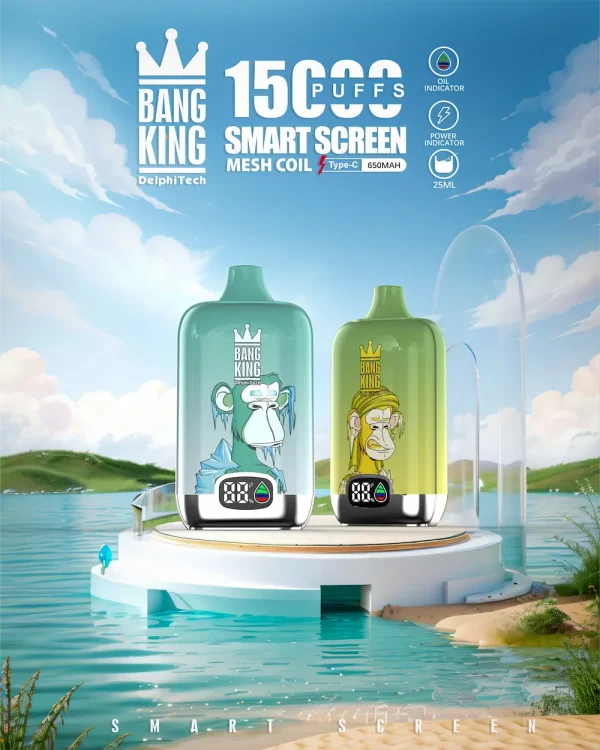 Bang King 15000 puffs smart screen vape with mesh coil, Type-C charging