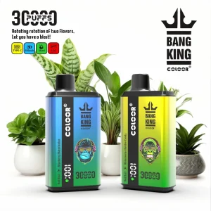Bang King 30000 puffs engångsvape - huvudbild som visar design med dubbla smaker