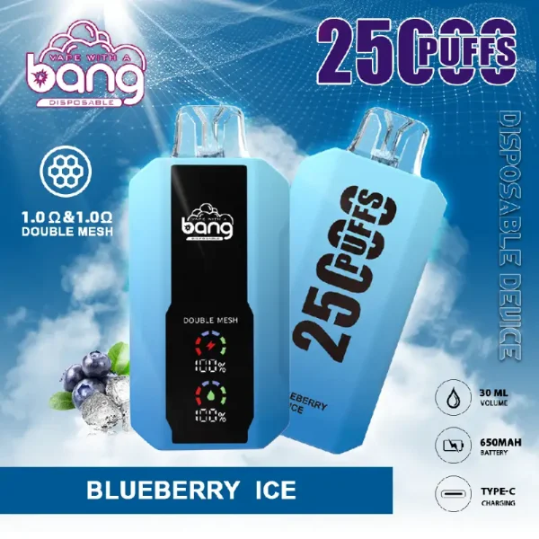 bang vape 25000 25k puffs disposable vape bluberry ice