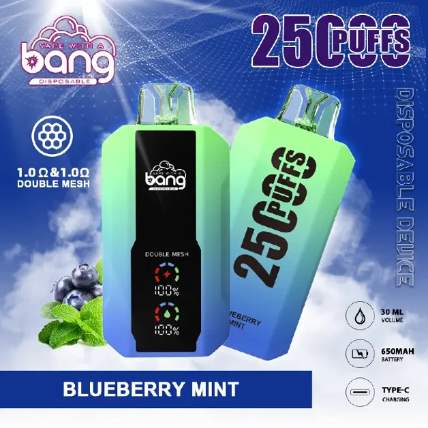 bang vape 25000 25k puffs disposable vape blueberry mint