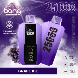 bang vape 25000 25k puffs disposable vape grape ice