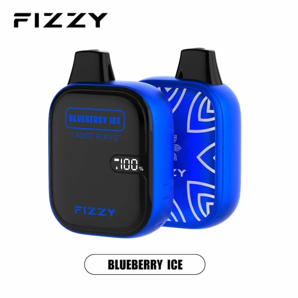 Fizzy 13000 puffs disposable vape - Blueberry Ice flavor