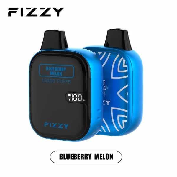 Fizzy 13000 puffs disposable vape - Blueberry Melon flavor