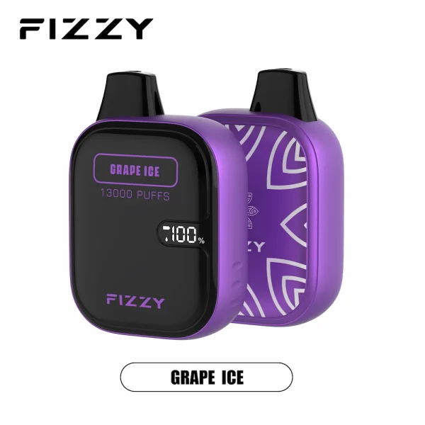 Fizzy 13000 puffs disposable vape - Grape Ice flavor