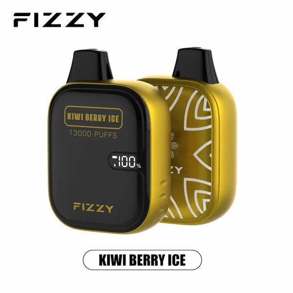 Fizzy 13000 puffs disposable vape - Kiwi Berry Ice flavor