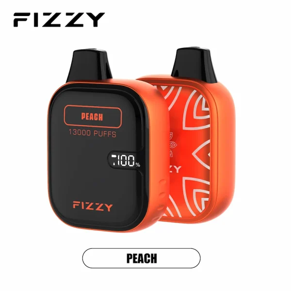 Fizzy 13000 puffs disposable vape - Peach flavor