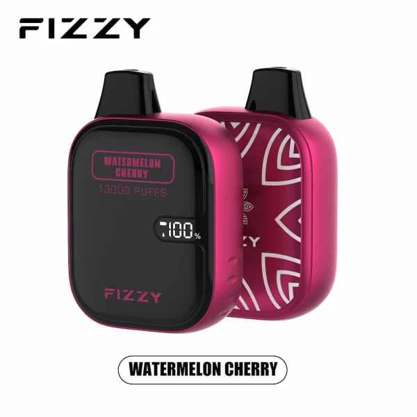 Fizzy 13000 puffs disposable vape - Watermelon Cherry flavor
