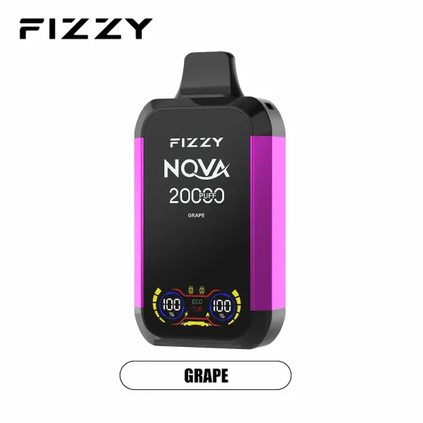 Fizzy Nova 20000 puffs disposable vape - Grape flavor