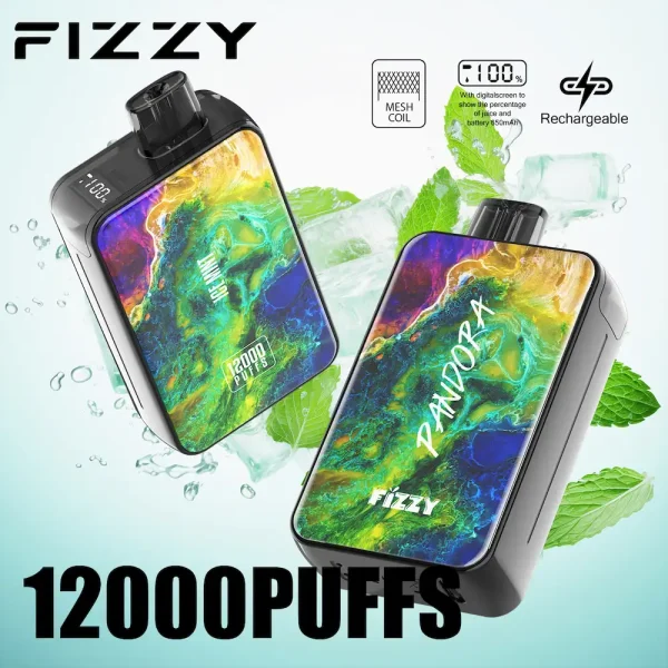 Fizzy Pandora 12000 puffs disposable vape device with LED screen