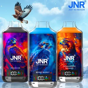 JNR Falcon X 18000 18K disposable vape
