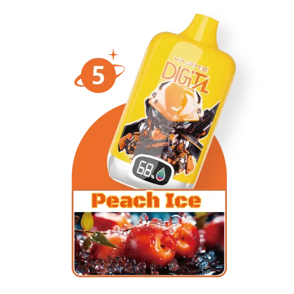 VAPME 12000 Puffs Digital disposable vape - Peach Ice flavor