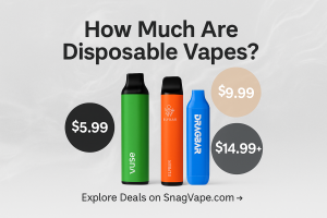 How Much Are Disposable Vapes?