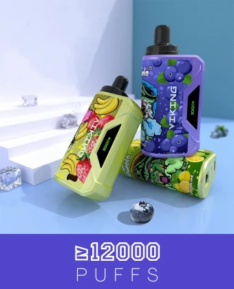 12000 puffs disposable vapes