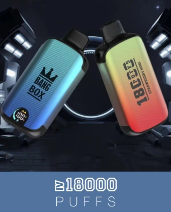10000 puffs disposable vapes