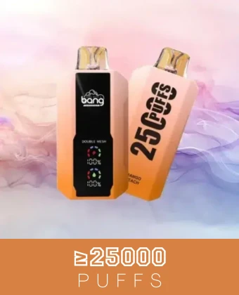 25000 puffs disposable vapes