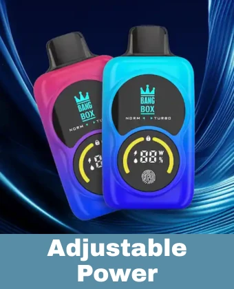 Regelbaar vermogen wegwerp vapes