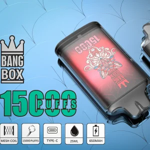 Bang Box S1 15000 15k puffs disposable vape - présentoir principal avec branding
