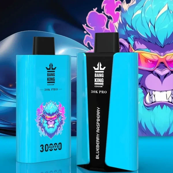 Bang King 30000 Pro 30K puffs disposable vape - Blueberry Raspberry flavor