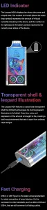 Details of Fumot Leopard 40000 Figure 7
