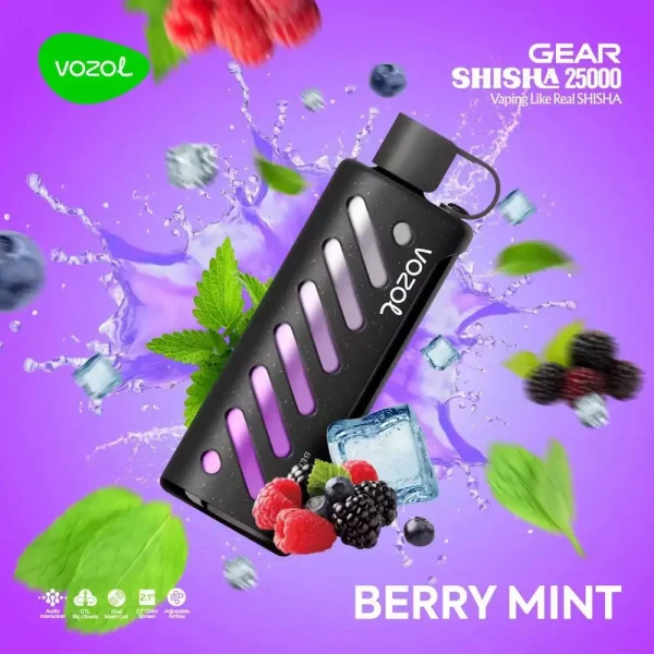Vozol Gear Shisha 25000 disposable vape - Berry Mint