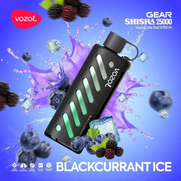 Vozol Gear Shisha 25000 disposable vape - Blackcurrant Ice