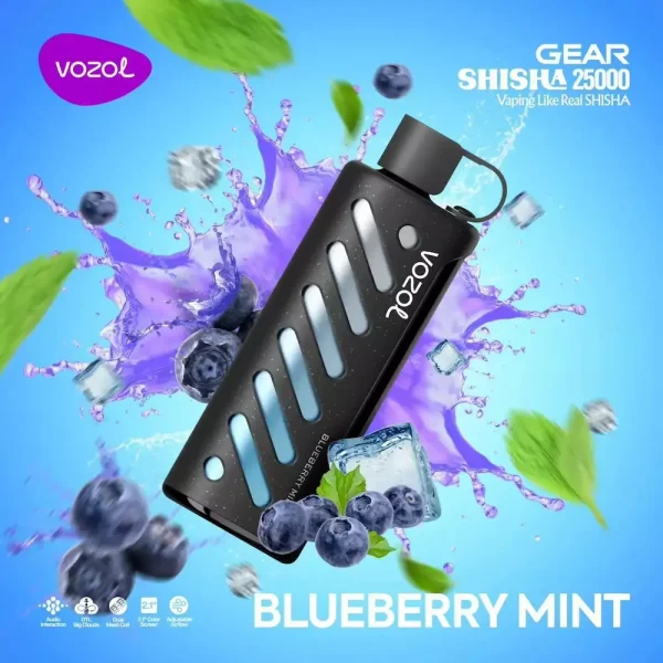 Vozol Gear Shisha 25000 disposable vape - Blueberry Mint