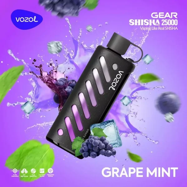 Vozol Gear Shisha 25000 disposable vape - Grape Mint