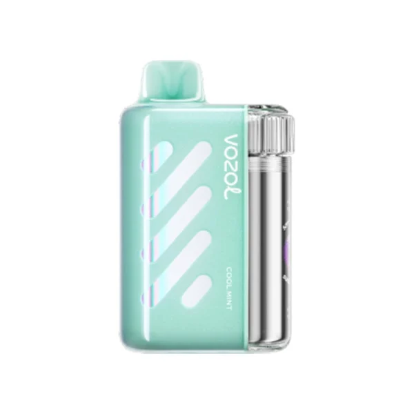 Vozol Vista 40000 puffs disposable vape - Cool Mint flavor