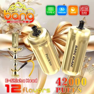 Bang Blaze 42000 42K puffs E-Shisha Head disposable vape for hookah