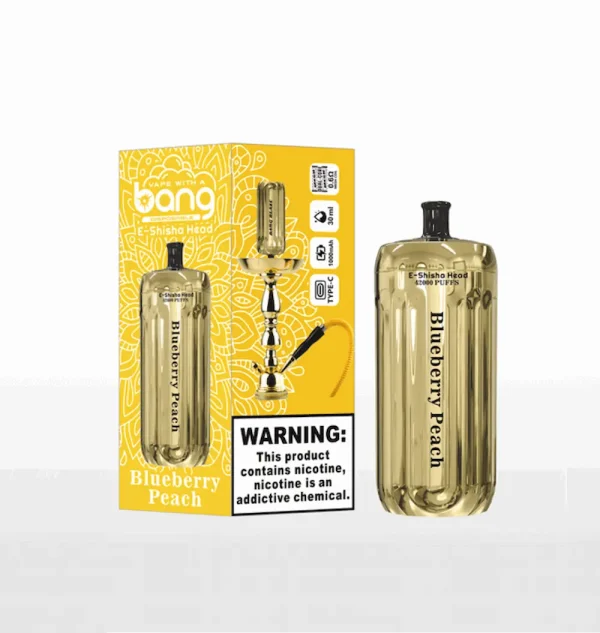 Bang Blaze E-Shisha Head 42000 42K puffs disposable vape - Blueberry Peach flavor