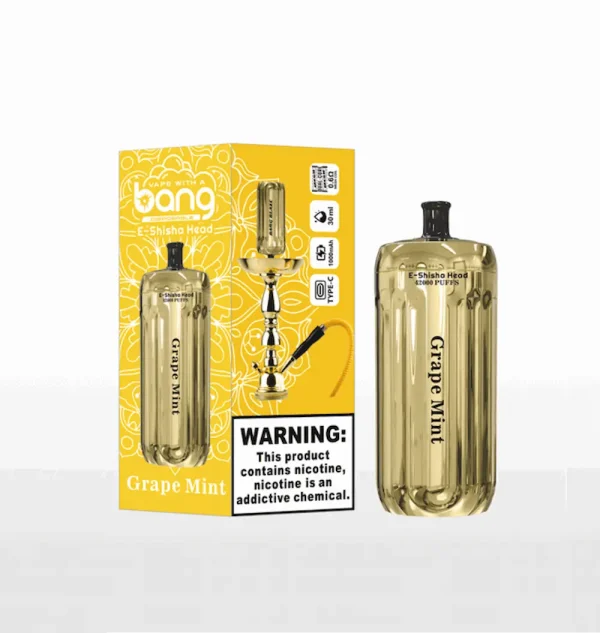 Bang Blaze E-Shisha Head 42000 42K puffs disposable vape - Grape Mint flavor