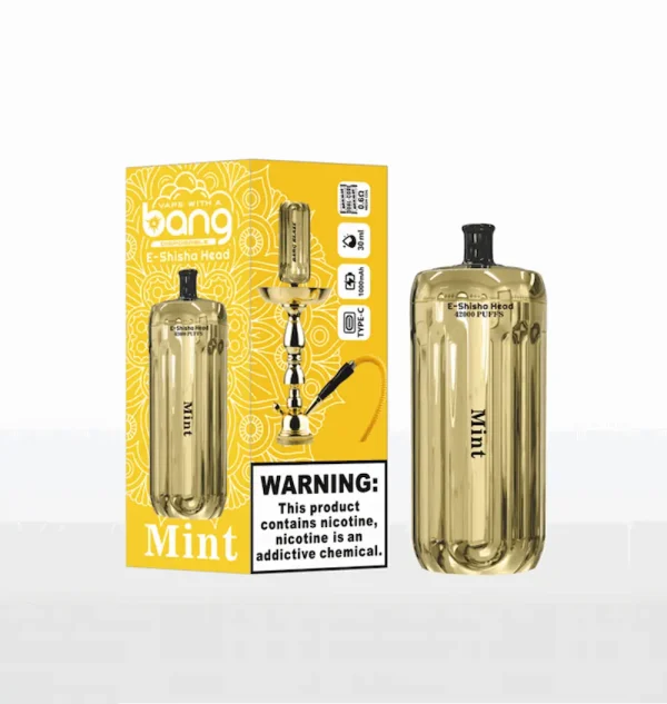 Bang Blaze E-Shisha Head 42000 42K puffs disposable vape - Mint flavor
