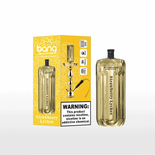 Bang Blaze E-Shisha Head 42000 42K puffs disposable vape - Strawberry Lychee flavor