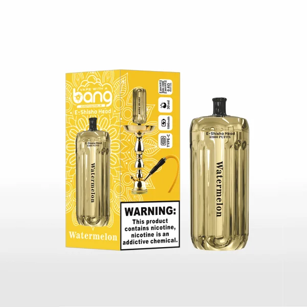 Bang Blaze E-Shisha Head 42000 42K puffs disposable vape - Watermelon flavor
