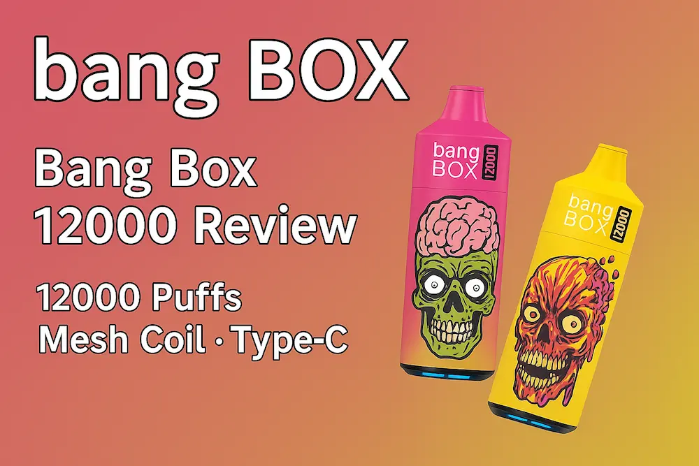 Bang Box 12000 recension 2025 - CE-certifierad 12K puffar engångs vape