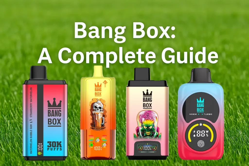 Bang Box Einweg-Vapes Einkaufsführer und Vergleich Abdeckung