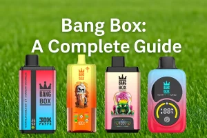 Bang Box kopersgids en vergelijking van wegwerpvapes