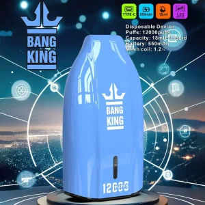 Bang King Porsche 12000 12K puffs rechargeable disposable vape with mesh coil and Type-C charging