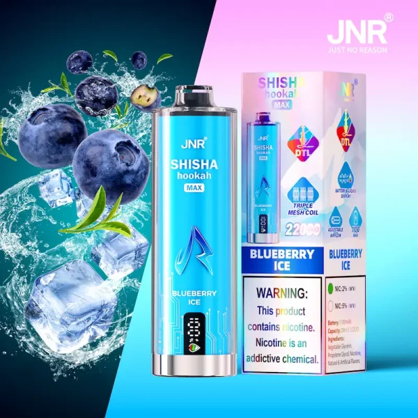 JNR Shisha Hookah Max 22K Puffs Blueberry Ice Disposable Vape