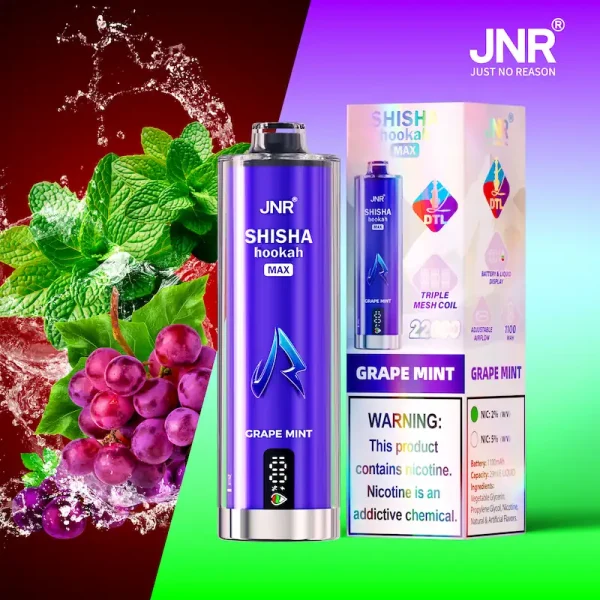 JNR Shisha Hookah Max 22K Puffs Grape Mint Disposable Vape
