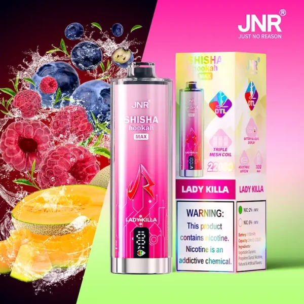JNR Shisha Hookah Max 22K Puffs Lady Killa Disposable Vape