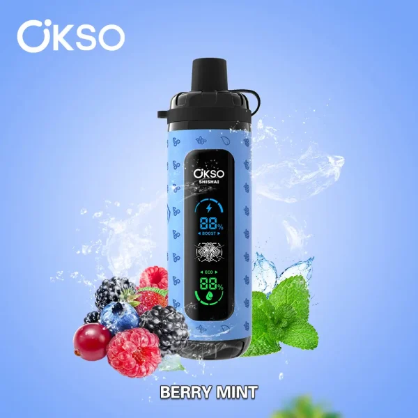 OKSO Shisha Max 40000 40K puffs dual mode hookah disposable vape – Berry Mint flavor, mixed berries with cool mint