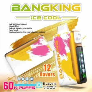 BANG KING 60000 Disposable Vape 60K Puffs Main Product Image Rechargeable Adjustable Cool Design