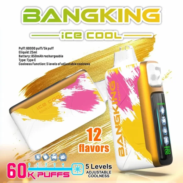 BANG KING 60000 Disposable Vape 60K Puffs Main Product Image Rechargeable Adjustable Cool Design