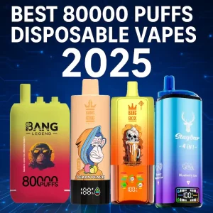 Beste 80000 puffs wegwerp vapes 2025 review met Stagbar, Bang Box en AIVONO Fat Bear vergelijking